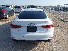WAUC4CF59KA****** Destrozados 2019 Audi S5