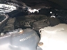 WBAAM5339XK****** Reparables 1999 BMW 3 Series en Boston Shirley