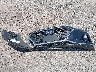 5NPE24AF5KH****** Wrecked 2019 Hyundai Sonata in New Jersey State