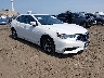 19UUB1F39KA****** Salvage and Wrecked 2019 Acura TLX in Avenel New Jersey