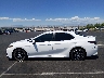 4T1G11AK0RU****** Reparables 2024 Toyota Camry en Estado de Nevada