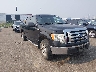 1FTFW1EV5AF****** Salvage and Wrecked 2010 Ford F-150 in Minneapolis South