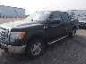 1FTFW1EV5AF****** Used and Repairable 2010 Ford F-150 in Minneapolis South