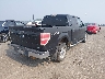 1FTFW1EV5AF****** Salvage and Wrecked 2010 Ford F-150 in Minnesota State