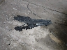 5NPDH4AE1GH****** Wrecked 2016 Hyundai Elantra in Arizona State