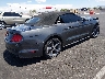 1FATP8EM2G5****** Salvage and Wrecked 2016 Ford Mustang in Nevada State