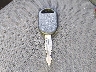 1FAFP31N87W****** Salvage 2007 Ford Focus in Florida State