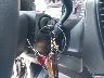 1GNLCDEC5KR****** Salvage 2019 Chevrolet Tahoe in Texas State