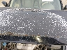 1HGCM66563A****** Wrecked 2003 Honda Accord in Kentucky State