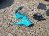 KL79MUSL8MB****** Wrecked 2021 Chevrolet Trailblazer in Maryland State
