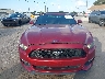 1FATP8EM9G5****** Usados 2016 Ford Mustang en Estado de Florida