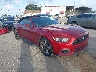 1FATP8EM9G5****** Salvamento y Destrozados 2016 Ford Mustang en IAA Tampa