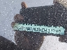 1C4PJMDX4KD****** Repairable 2019 Jeep Cherokee