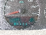 2G1WG5E34D1****** Destrozados 2013 Chevrolet Impala