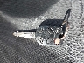 1FMCU0D73BK****** Salvage 2011 Ford Escape in Massachusetts State