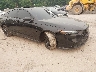 1HGCY1F4XSA****** Salvage and Wrecked 2025 Honda Accord in Albany