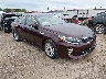 5XXGU4L3XHG****** Salvage and Wrecked 2017 Kia Optima in Fayetteville