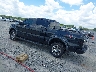 1FTFW1ET5DK****** Salvage and Repairable 2013 Ford F-150 in Tifton