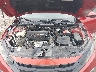 19XFC2F68LE****** Reparables 2020 Honda Civic en Lafayette