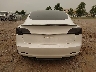 5YJ3E1EB1MF****** Salvage 2021 Tesla Model 3