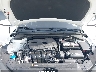 5NPD84LF9KH****** Reparables 2019 Hyundai Elantra en Southern New Jersey