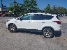 1FMCU9HD9KU****** Repairable 2019 Ford Escape in Pennsylvania State