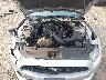 1FATP8EM7F5****** Repairable 2015 Ford Mustang in Northern Virginia
