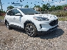 1FMCU9H69LU****** Salvamento y Destrozados 2020 Ford Escape en Detroit