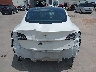 5YJ3E1EB3NF****** Destrozados 2022 Tesla Model 3