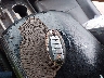1N4AL3AP0GC****** Salvage 2016 Nissan Altima in Louisiana State