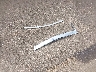 JN8AZ2BD1M9****** Destrozados 2021 Infiniti QX80 en Estado de Mississippi