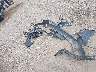 KM8R24GE6SU****** Destrozados 2025 Hyundai Palisade en Estado de Texas