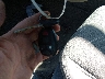 1G1ZC5E12BF****** Salvage 2011 Chevrolet Malibu in Massachusetts State