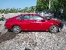 KMHLL4DG7SU****** Repairable 2025 Hyundai Elantra in Florida State