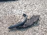 1FMJU1MG1SE****** Wrecked 2025 Ford Expedition in Maryland State