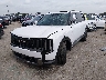 5XYPC5S13VG****** Salvage and Repairable 2027 Kia Telluride in Texas State