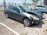 1HGCP26809A****** Salvage and Wrecked 2009 Honda Accord in Grenada