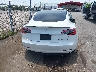 5YJ3E1EB2MF****** Wrecked 2021 Tesla Model 3