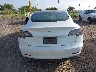 5YJ3E1EA3LF****** Salvamento 2020 Tesla Model 3