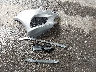 WDDKJ5KB5EF****** Wrecked 2014 Mercedes-Benz E 350 in Texas State