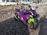 ML5EXGJ19SD****** Salvage and Wrecked 2025 Kawasaki Ninja 500 in Rec Rides Online Exclusive