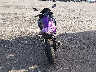 ML5EXGJ19SD****** Salvage and Repairable 2025 Kawasaki Ninja 500 in Florida State