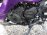 ML5EXGJ19SD****** Used 2025 Kawasaki Ninja 500 in Rec Rides Online Exclusive