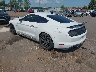 1FA6P8CF0M5****** Salvamento y Reparables 2021 Ford Mustang en Memphis