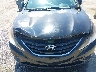 5NPEB4AC3DH****** Salvage and Repairable 2013 Hyundai Sonata in California State