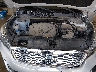 5XYPGDA58KG****** Repairable 2019 Kia Sorento in Fargo