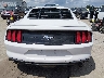 1FA6P8TH7K5****** Wrecked 2019 Ford Mustang