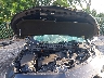 1G1ZC5ST3RF****** Repairable 2024 Chevrolet Malibu in West Palm Beach