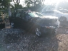 1G1ZC5ST3RF****** Salvage and Wrecked 2024 Chevrolet Malibu in West Palm Beach