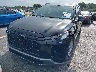 KM8R24GE5SU****** Wrecked 2025 Hyundai Palisade in Florida State